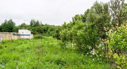 Купить земельный участок. Фотография №9 Купить земельный участок, Россия, г. Ступино, с щапово. Фотография №9