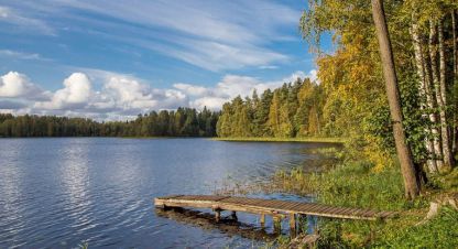 Купить земельный участок. Фотография №1 Продам земельный участок, г. Трестино д, Тверская обл., Россия, агентство CENTURY 21 Россия. Фотография №1