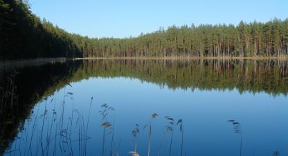 Купить земельный участок в г. Трестино д. Фотография №3 Купить земельный участок в г. Трестино д. Фотография №3