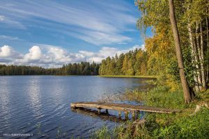 Продам земельный участок, г. Трестино д, Тверская обл., Россия, агентство CENTURY 21 Россия