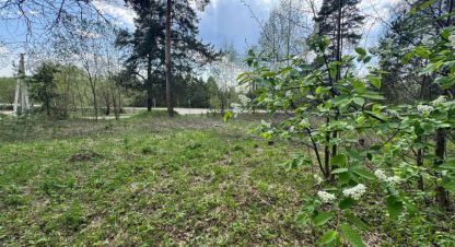 Продаётся земельный участок в г. Ратманово д. Фотография №7 Продаётся земельный участок в г. Ратманово д. Фотография №7