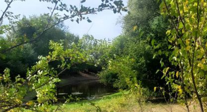 Продам земельный участок, на улице Тополевая, г. Куйбышев, Волгоградская обл., Россия, агентство Живем Дома. Фотография №1