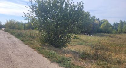 Купить земельный участок, Россия, г. Куйбышев. Фотография №10