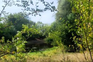 Продам земельный участок, на улице Тополевая, г. Куйбышев, Волгоградская обл., Россия, агентство Живем Дома Продам земельный участок, на улице Тополевая, г. Куйбышев, Волгоградская обл., Россия, агентство Живем Дома