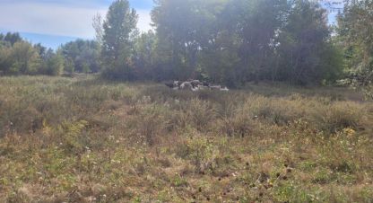 Купить земельный участок, Россия, г. Куйбышев. Фотография №9