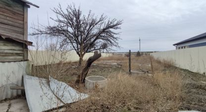 Купить земельный участок г. Краснослободск. Фотография №5 Купить земельный участок г. Краснослободск. Фотография №5