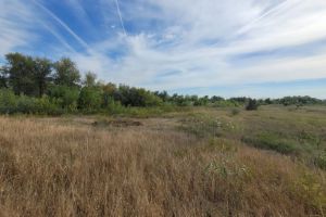 Продам земельный участок, на улице -, г. Куйбышев, Волгоградская обл., Россия, агентство Живем Дома Продам земельный участок, на улице -, г. Куйбышев, Волгоградская обл., Россия, агентство Живем Дома