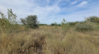 Купить земельный участок в г. Куйбышев. Фотография №2