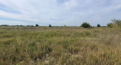 Купить земельный участок в г. Куйбышев. Фотография №3