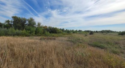 Продам земельный участок, на улице -, г. Куйбышев, Волгоградская обл., Россия, агентство Живем Дома. Фотография №1