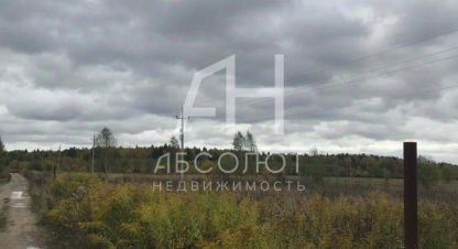Купить земельный участок на улице Луговая г. Крутец д. Фотография №5