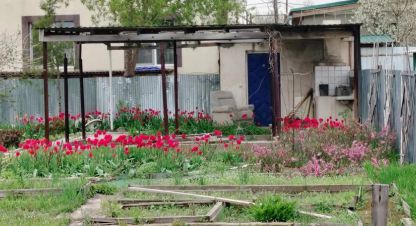 Продаётся земельный участок в г. Волгоград. Фотография №6 Продаётся земельный участок в г. Волгоград. Фотография №6