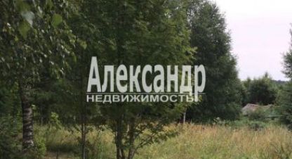 Купить земельный участок в г. Буяково. Фотография №2