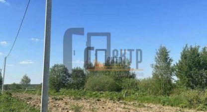 Купить земельный участок в г. Андреевское д. Фотография №2 Купить земельный участок в г. Андреевское д. Фотография №2