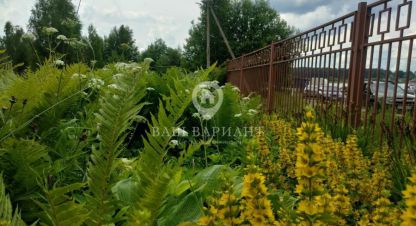 Купить земельный участок в г. Коровино. Фотография №3