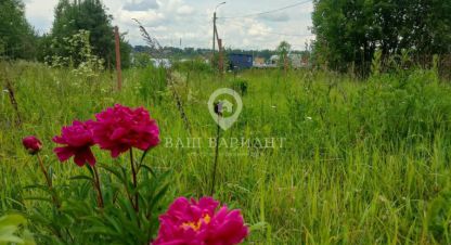 Купить земельный участок, Россия, г. Коровино. Фотография №10