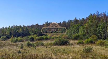 Купить земельный участок, Россия, г. Садовые участки. Фотография №9