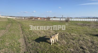 Продаётся земельный участок в г. Ивановка. Фотография №7 Продаётся земельный участок в г. Ивановка. Фотография №7