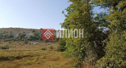 Купить земельный участок в г. Хмельницкое. Фотография №2 Купить земельный участок в г. Хмельницкое. Фотография №2