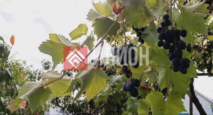 Купить дом 4-х комнатную, 146 кв. м. Фотография №8 Купить дом 4-х комнатную, 146 кв. м., Россия, г. Андреевка. Фотография №8