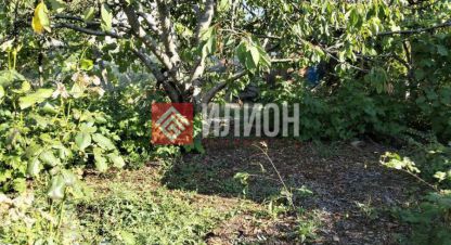 Купить земельный участок в г. Снт тсн парус-6. Фотография №2 Купить земельный участок в г. Снт тсн парус-6. Фотография №2