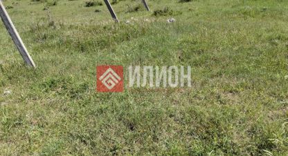 Купить земельный участок в г. Гераклея-2. Фотография №2