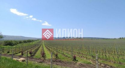 Продам земельный участок, на улице Василия жукова, г. Балаклава, Крым авт. респ., Россия, агентство Илион. Фотография №1