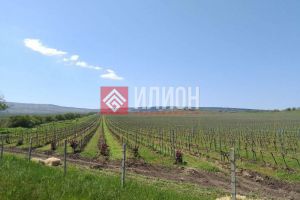 Продам земельный участок, на улице Василия жукова, г. Балаклава, Крым авт. респ., Россия, агентство Илион