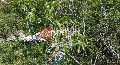 Купить земельный участок в г. Тсн снт орхидея. Фотография №2 Купить земельный участок в г. Тсн снт орхидея. Фотография №2