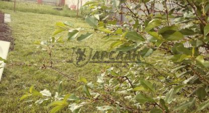 Продаётся 4-х комнатная дом в г. Высокая гора. Фотография №6