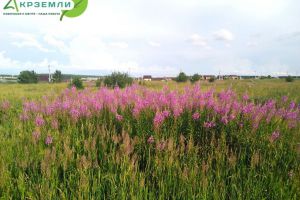 Продам земельный участок, на улице Круговая ул, г. Красное поле, Челябинская обл., Россия, агентство Акрземли