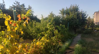 Купить 2-х комнатную коттедж/дачу г. Волгоград. Фотография №4