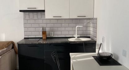 Снять квартиру, 25 кв. м., Россия, г. Новосаратовка дер. Фотография №8