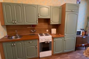 Сдам квартиру 1 комнатную с общей площадью 42м2, 6/25 эт., на улице Туристская ул  15, г. Санкт-Петербург, Санкт-Петербург, Россия, агентство РЕАЛ агентство недвижимости