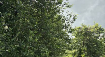 Продам земельный участок, на улице Зеленая, г. Высокогорский  дер потаниха, Татарстан респ., Россия, агентство Мультилистинг.РФ. Фотография №1