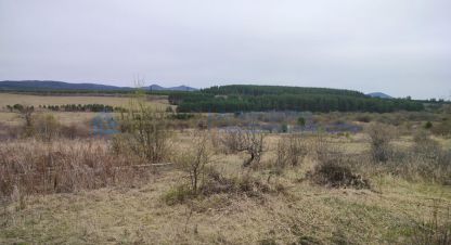 Купить земельный участок в г. Коллективный сад надежда. Фотография №2