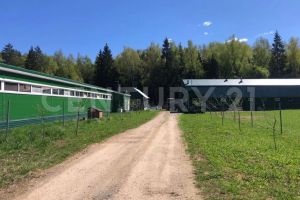 Продам производственно-складское помещение с общей площадью 715.2м2, на улице Полевая ул, г. Веткино (коллонтай) д, Калужская обл., Россия, агентство CENTURY 21 Россия