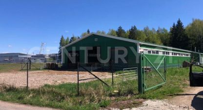 Купить производственно-складское помещение в г. Веткино (коллонтай) д. Фотография №3