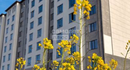 Продам квартиру 1 комнатную с общей площадью 48.5м2, 7/9 эт., на улице Имени м в  сижажева ул, г. Чегем, Кабардино-Балкария респ., Россия, агентство Самолет Плюс Нальчик. Фотография №1