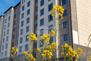 Продам квартиру 1 комнатную с общей площадью 48.5м2, 7/9 эт., на улице Имени м в сижажева ул, г. Чегем, Кабардино-Балкария респ., Россия, агентство Самолет Плюс Нальчик Продам квартиру 1 комнатную с общей площадью 48.5м2, 7/9 эт., на улице Имени м в сижажева ул, г. Чегем, Кабардино-Балкария респ., Россия, агентство Самолет Плюс Нальчик