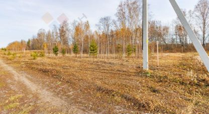 Купить земельный участок в г. Старокорсунская ст-ца. Фотография №2 Купить земельный участок в г. Старокорсунская ст-ца. Фотография №2