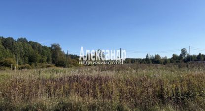 Купить земельный участок в г. Хийтольское сельское поселение. Фотография №2 Купить земельный участок в г. Хийтольское сельское поселение. Фотография №2