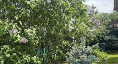 Купить дом 5-ти комнатную, 96 кв. м., Россия, г. Пгт богородское. Фотография №8