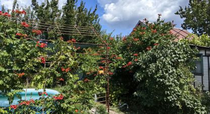Продаётся 1 комнатная коттедж/Дача в г. Чапурники ж/д_ст. Фотография №6