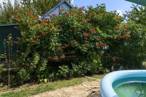 Продам коттедж/дачу 1 комнатную с общей площадью 30м2, на улице Линия 2, г. Чапурники ж/д_ст, Волгоградская обл., Россия, агентство Живем Дома Продам коттедж/дачу 1 комнатную с общей площадью 30м2, на улице Линия 2, г. Чапурники ж/д_ст, Волгоградская обл., Россия, агентство Живем Дома