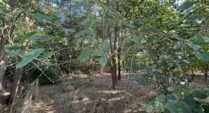 Купить земельный участок на улице Майская ул г. Краснодар. Фотография №4 Купить земельный участок на улице Майская ул г. Краснодар. Фотография №4