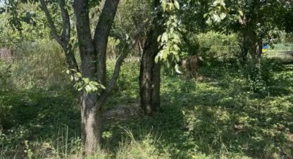 Купить земельный участок. Фотография №1 Продам земельный участок, на улице Нст ромашка-2 новая, Прикубанский окр район, г. Краснодар, Краснодарский край, Россия, агентство Мореон Инвест. Фотография №1
