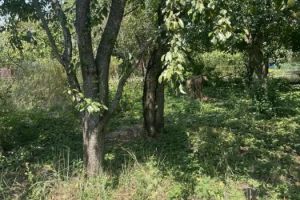 Продам земельный участок, на улице Нст ромашка-2 новая, Прикубанский окр район, г. Краснодар, Краснодарский край, Россия, агентство Мореон Инвест