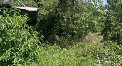 Купить земельный участок на улице Нст ромашка-2 новая г. Краснодар. Фотография №4 Купить земельный участок на улице Нст ромашка-2 новая г. Краснодар. Фотография №4