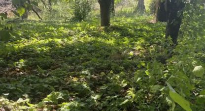 Купить земельный участок в г. Краснодар. Фотография №3 Купить земельный участок в г. Краснодар. Фотография №3